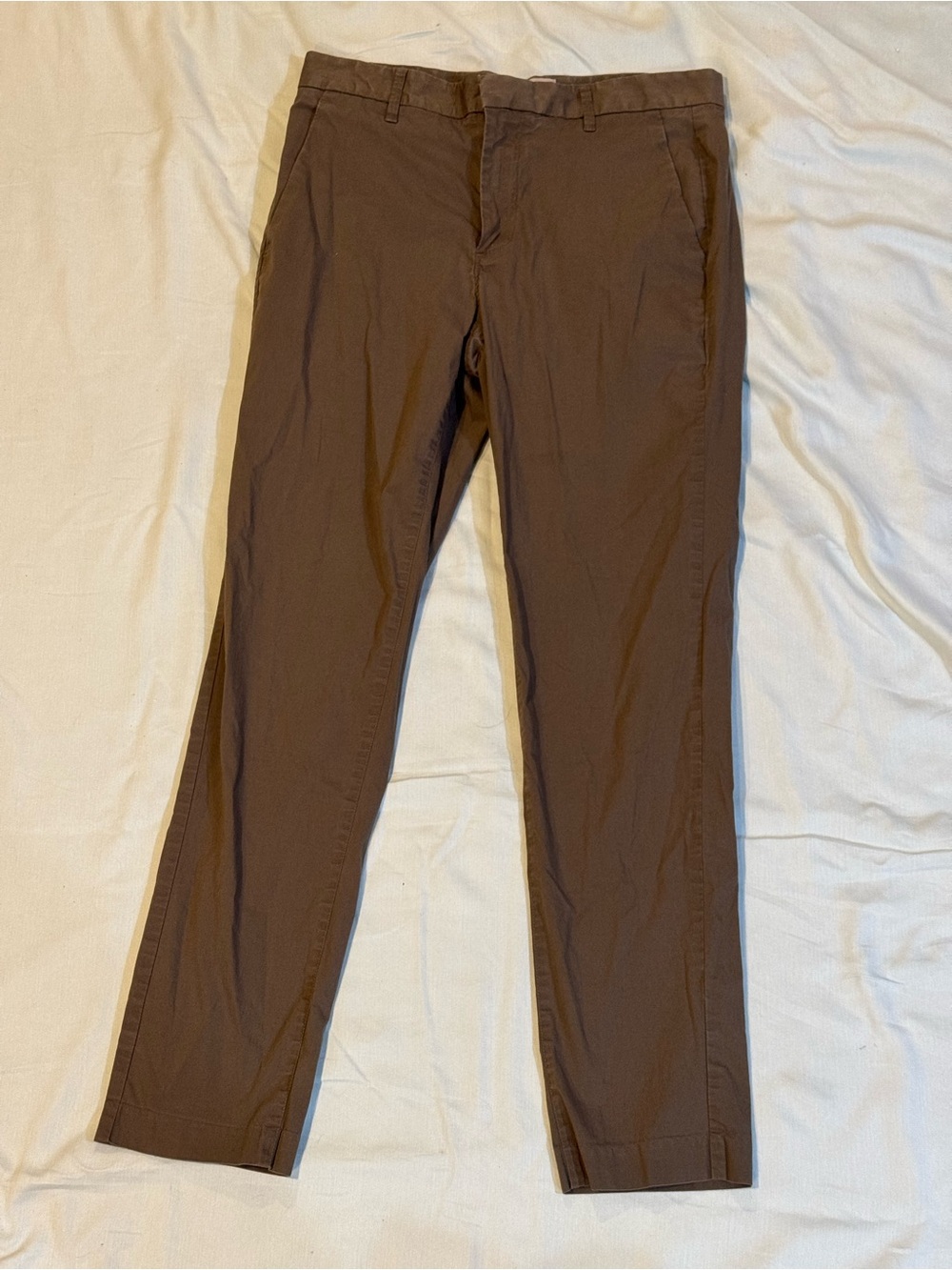 Everlane Olive green Men’s chino pants size 30x30